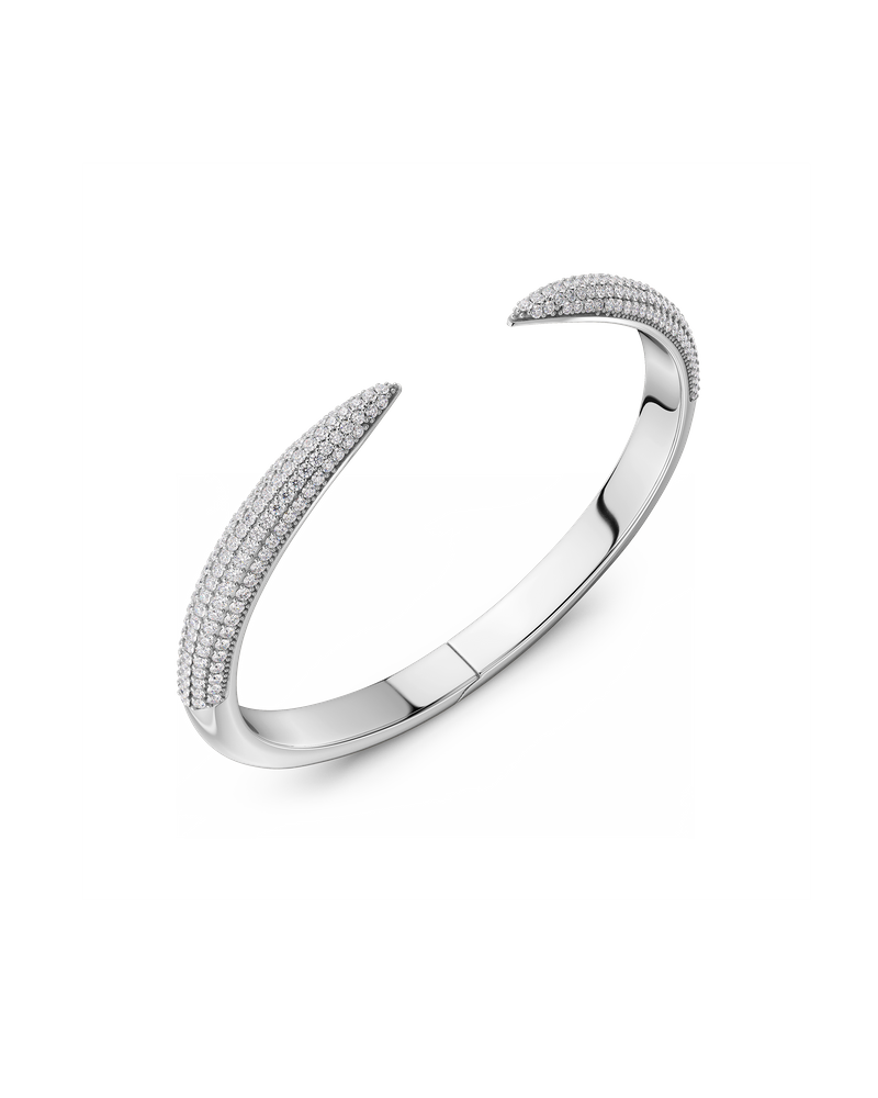 Crest Sparkle Bangle Bangles Silver