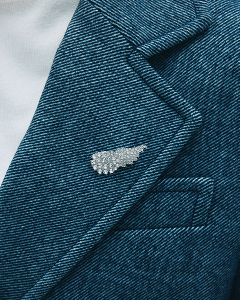 Winged Brooch For teenager Silver