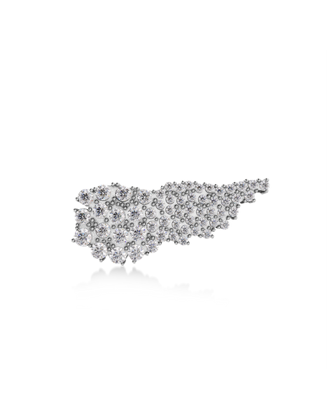 Winged Brooch For teenager Silver