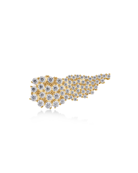 Winged Brooch For teenager Guld