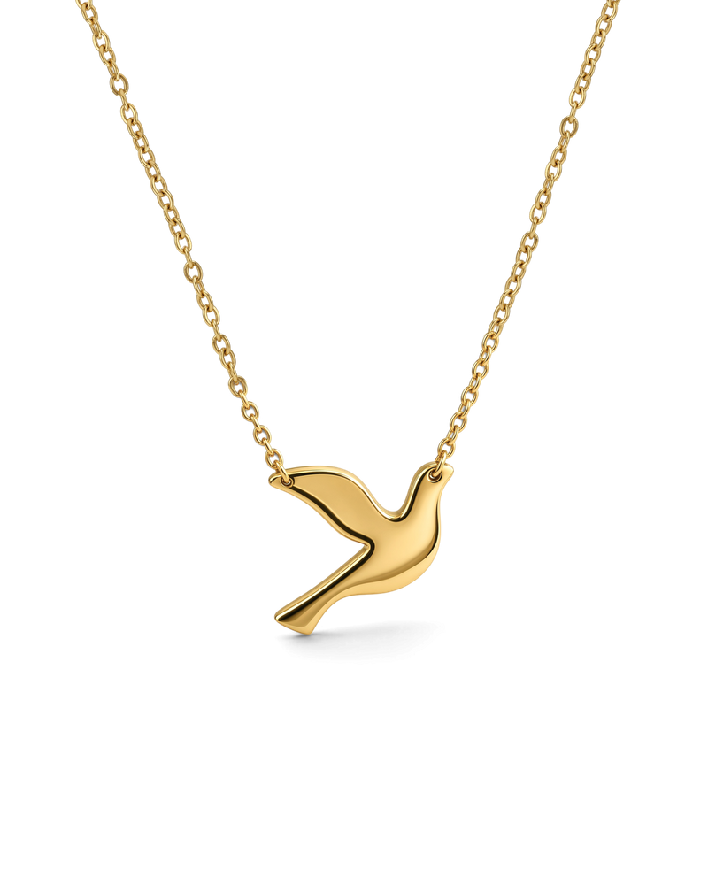 Dove Necklace Gouden kettingen Goud