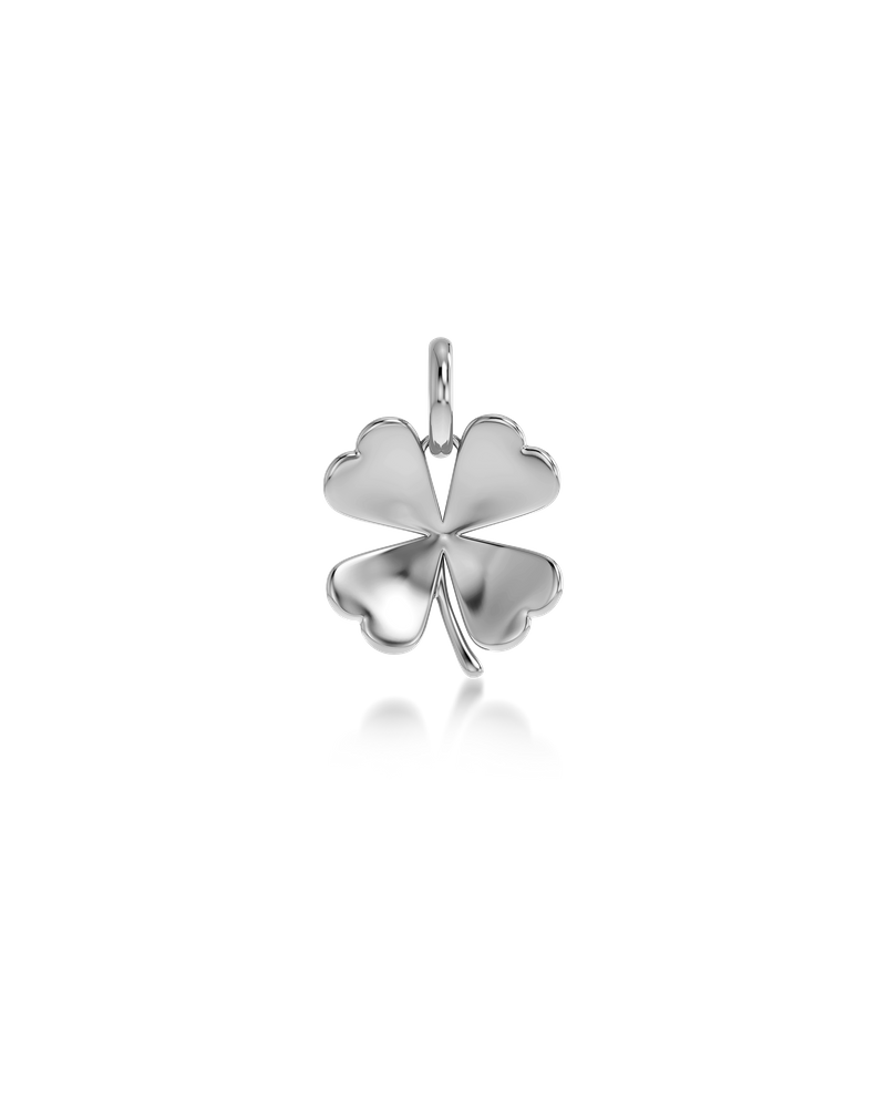 Lucky Charm Hopeiset koruriipukset Hopea