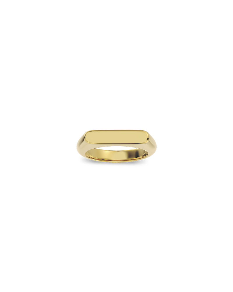Charlie Signet Ring Guldringar Guld