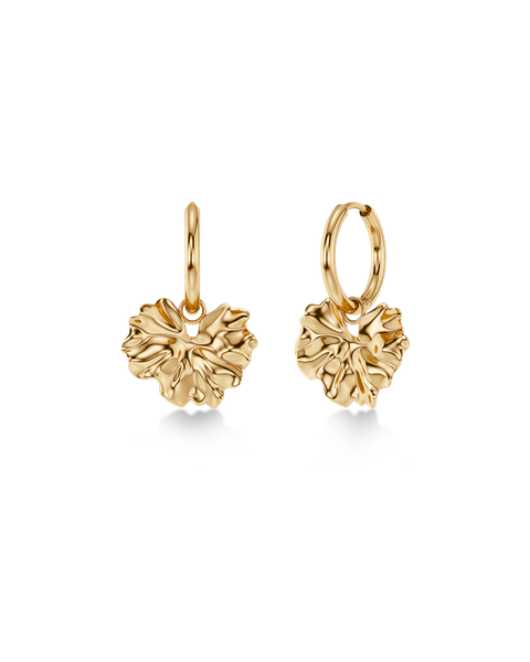 Gerana Hoops Gold earrings Gold