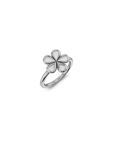 Daisy Ring Jewellery Silver