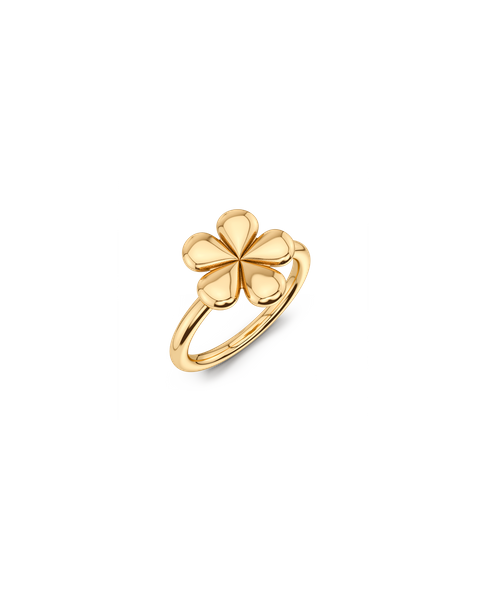 Daisy Ring Gold rings Guld