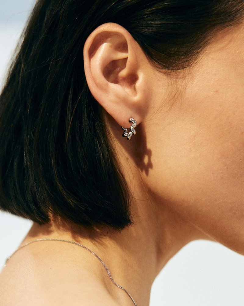Spiral Hoops S Hoops Silver