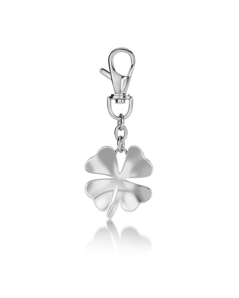 Lucky Bag Charm For best friend Silver