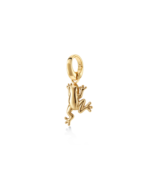 Frog Charm Charms Gull