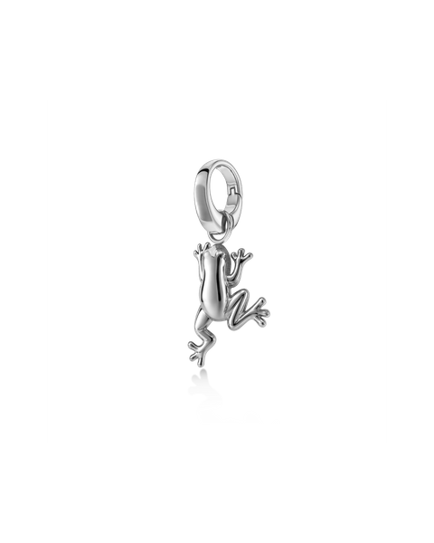 Frog Charm Charms Silber