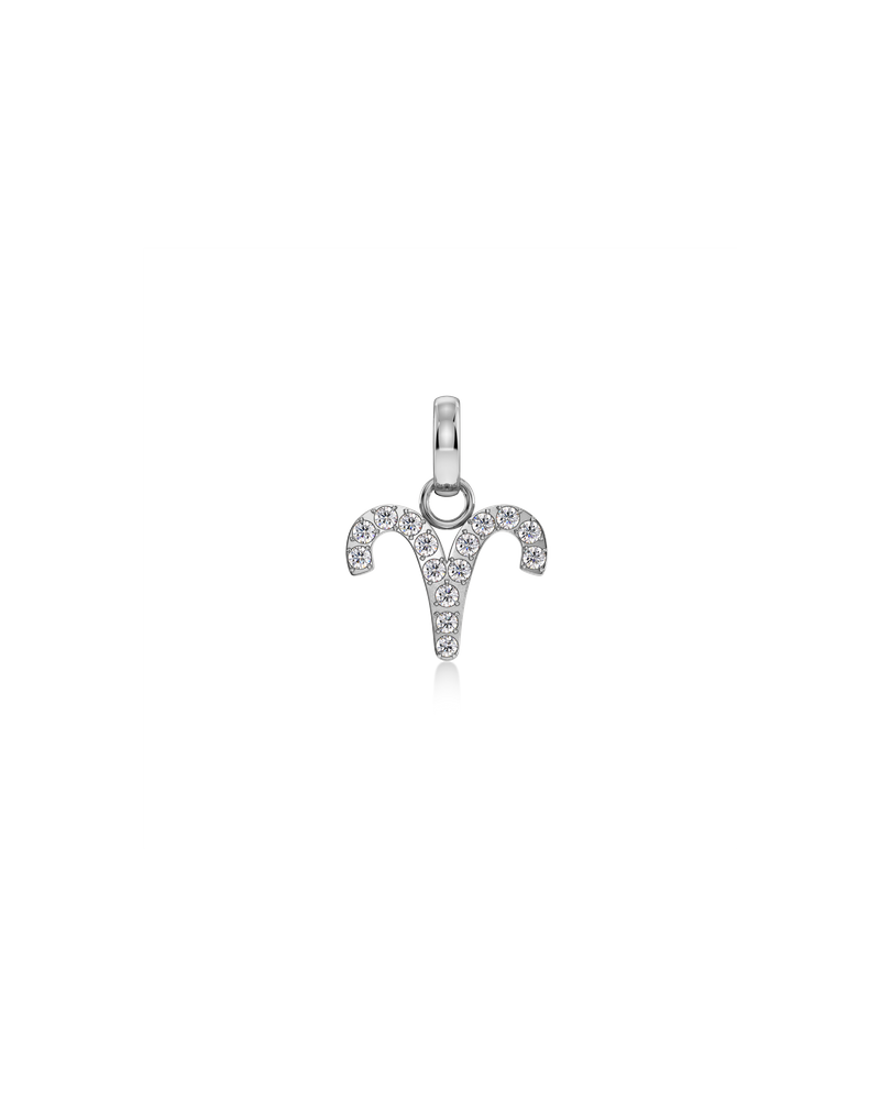 Zodiac Sparkle Charm Silver Silver charms Silver