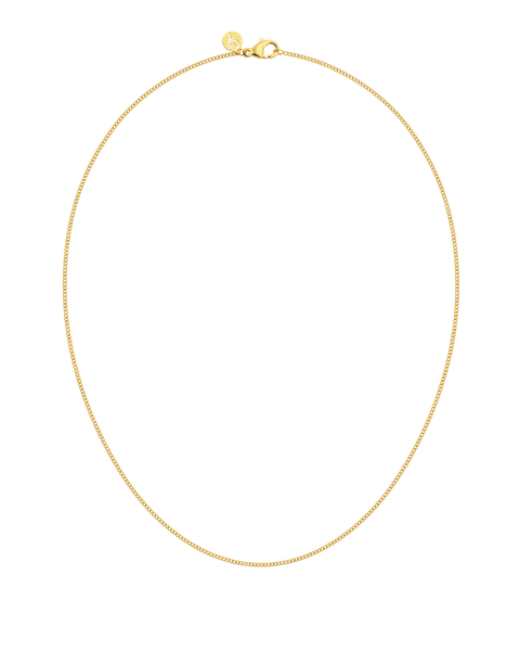 Curb Chain Mini 42 cm Chain necklaces Guld