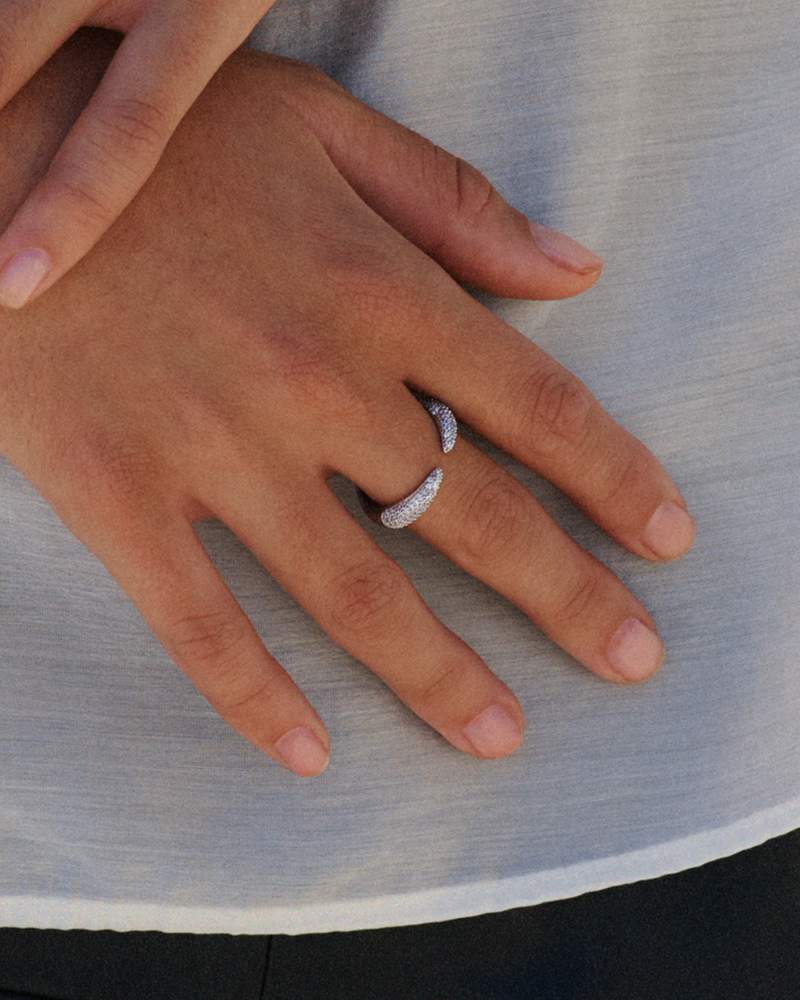 Crest Pavé Ring Silver rings Silver