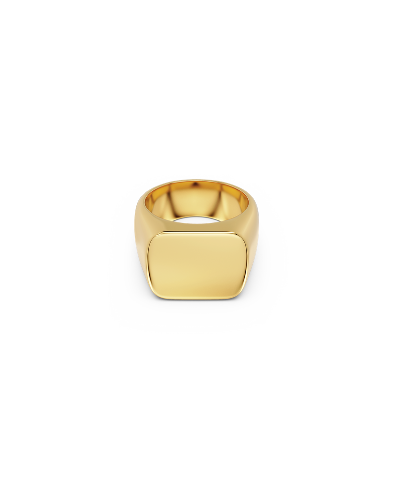 Ellis Signet Ring Gold rings Gold