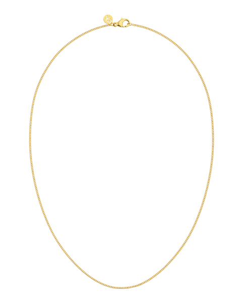 Curb Chain Mini 45 cm Chain necklaces Guld