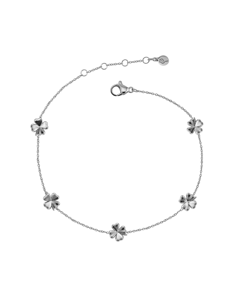 Lucky Mini Anklet Multi Silver anklets Silver