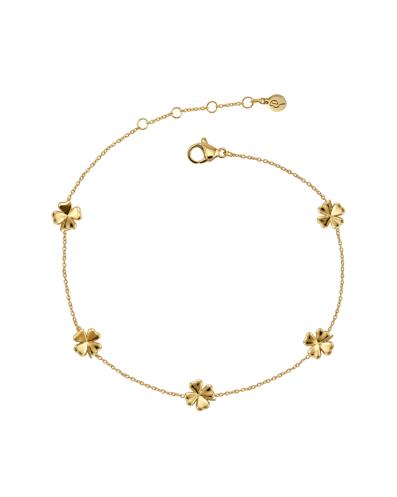 Lucky Mini Anklet Multi Gold anklets Gold